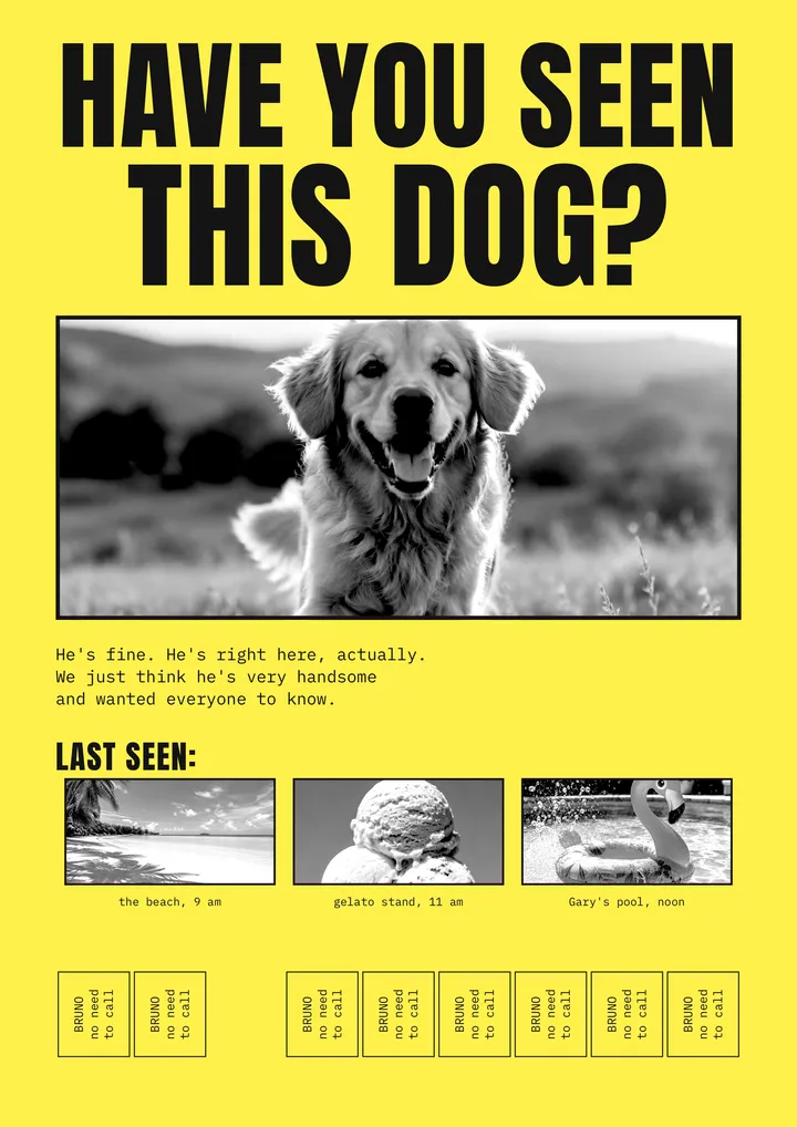 一张写着 Have you seen this dog 的黄色寻狗启事，配有金毛寻回犬的黑白照片和可撕下的联系方式纸条。
