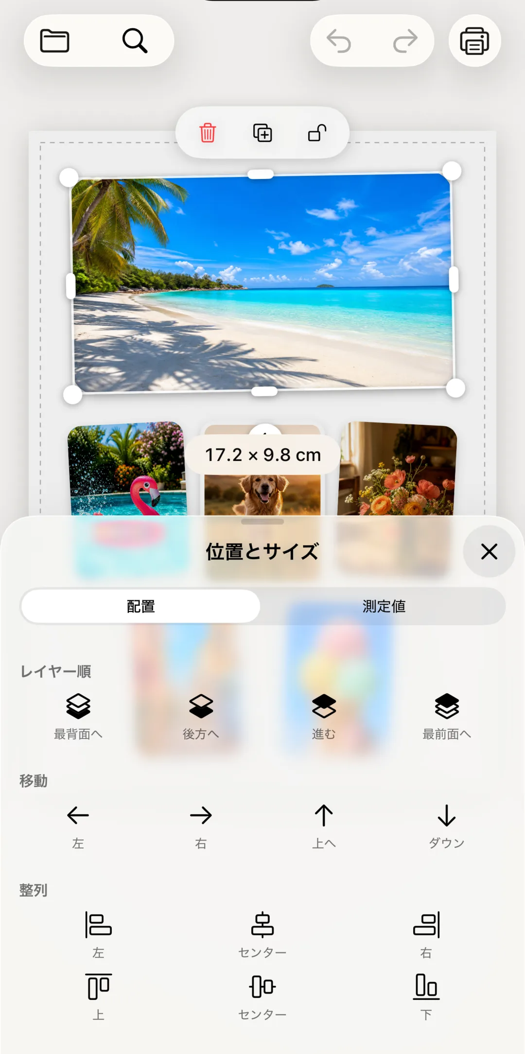 正確な寸法を表示しながら写真のサイズを変更している画面